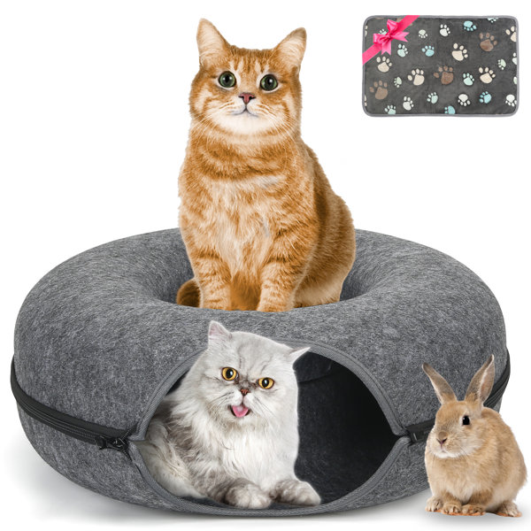 Tucker Murphy Pet™ Ameliah Round Cat Bed & Reviews Wayfair